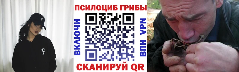 даркнет сайт  Вытегра  Галлюциногенные грибы MAGIC MUSHROOMS 