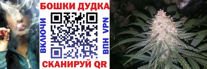 Бошки Шишки LSD WEED цены Вытегра